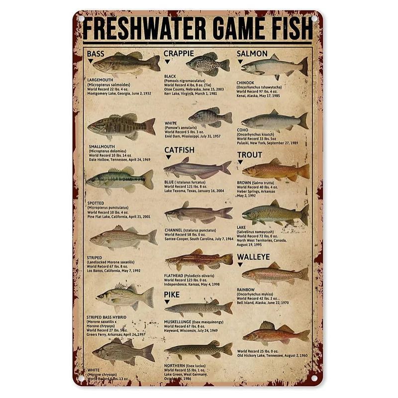 Bathroom Sign Decorative Painting, Home Poster Retro American Tin Painting Washing Room Decorative Painting